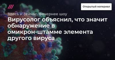 Вирусолог объяснил, что значит обнаружение в омикрон-штамме элемента другого вируса