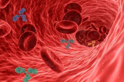 Специалист заявил, что антитела от «дельты» могут не защитить от «омикрона»
