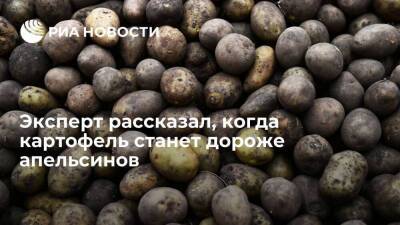 Эксперт Рамазанов: картофель станет дороже апельсинов, если будет только импорт корнеплода