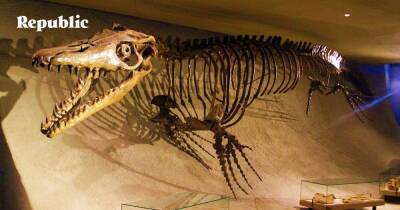 Динозавры — новые факты о том, что казалось вам хорошо известным