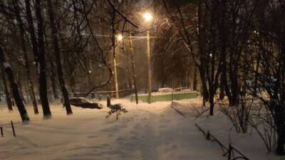 Жители Петербурга подписывают петицию в попытке заставить власти убирать снег