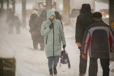 До -26 градусов похолодает на следующей неделе в Новосибирске