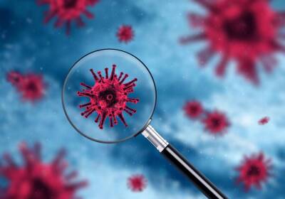 Превратится ли COVID-19 в грипп?