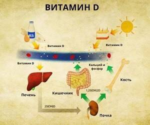 3 способа получить больше витамина D с помощью питания
