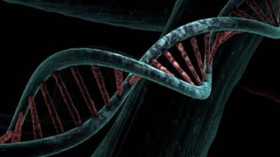 Биологи открыли гены заикания