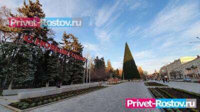 В Ростове установили главную новогоднюю елку 4 декабря