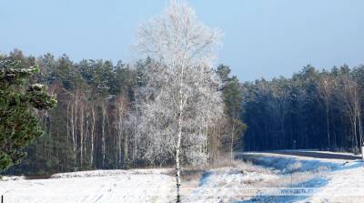 Снег и до -10°С ожидается в Беларуси 6 декабря
