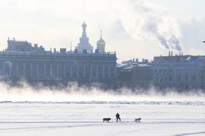 Ночь на воскресенье в Петербурге стала самой холодной с начала зимы