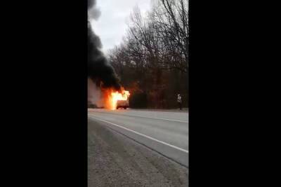 Пассажирский автобус загорелся в Воронежской области