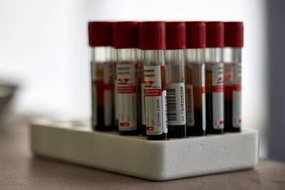 В России подтвердили 32 602 случая коронавируса
