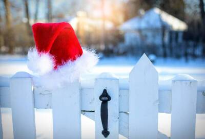 Дед Мороз и Йоулупукки не встретятся в 2021 году из-за пандемии