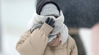 В ночь на понедельник в Ленобласти обещают морозы до минус 26 градусов