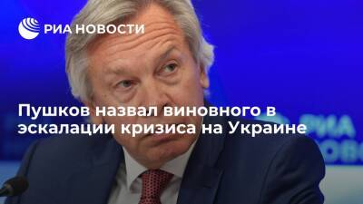 Сенатор Пушков призвал экс-посла США в России узнать у Столтенберга, зачем НАТО Украина