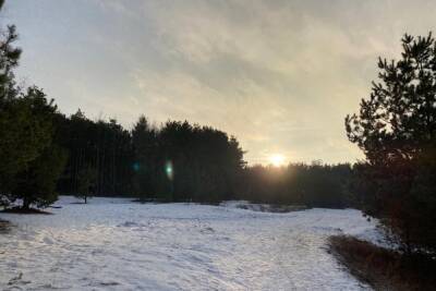6 декабря в Рязанской области ожидается снег и до +2 градусов
