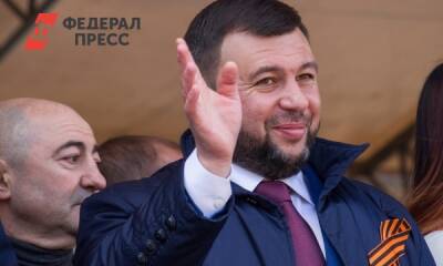 Глава ДНР надеется, что помощь России в Донбассе не понадобится