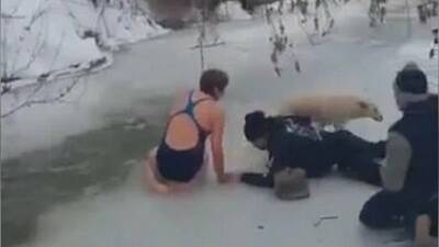 В Башкирии «моржы» спасли собаку, которая провалилась под лёд