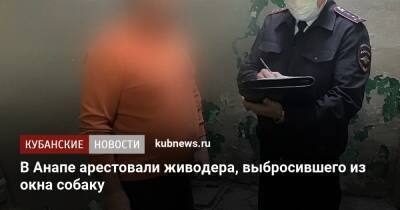 В Анапе арестовали живодера, выбросившего из окна собаку - kubnews.ru - Россия - Анапа
