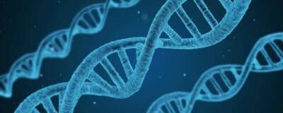 Профессор Лю Хун: Ученым Китая удалось записать информацию ДНК на электродах