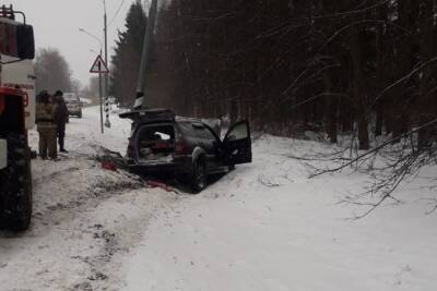В Тверской области скончался водитель, протаранивший столб
