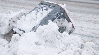 Петербуржцы пожаловались на бездействие коммунальных служб во время снежного коллапса