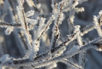 В Украине заметили необычное явление: ледяные «гирлянды». ФОТО