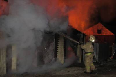 2 274 добровольных пожарных помогают тушить огонь в Псковской области