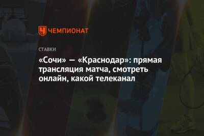«Сочи» — «Краснодар»: прямая трансляция матча, смотреть онлайн, какой телеканал