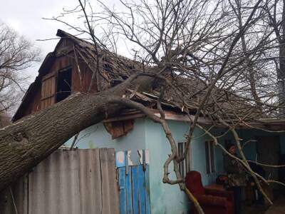 Ураган в Краснинском районе едва не оставил многодетную семью без крыши над головой