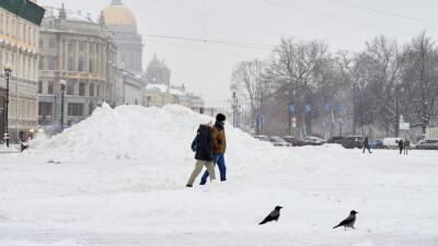 Проблема с парковочными местами возникла в Петербурге из-за неубранных сугробов