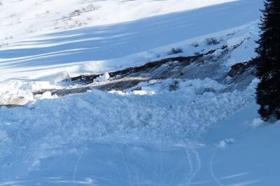 В Австрии группу лыжников накрыла снежная лавина
