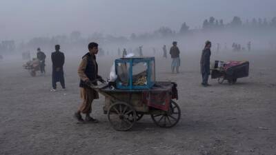 Международное сообщество осуждает внесудебные казни в Афганистане