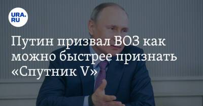 Путин призвал ВОЗ как можно быстрее признать «Спутник V»
