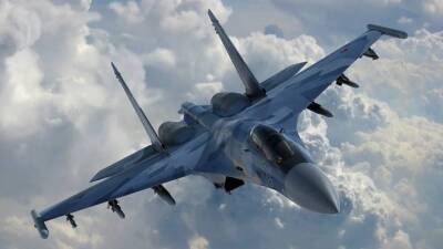 Летчик НАТО до слез испугался российского Су-30 над Балтийским морем