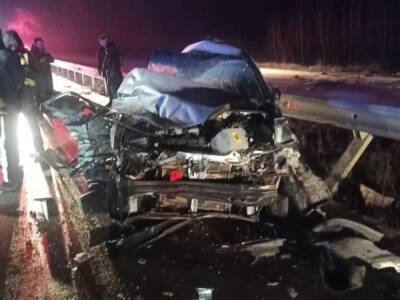 В Житомирской области столкнулись Daewoo и грузовик. Погибли отец и два ребенка