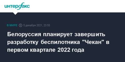 Белоруссия планирует завершить разработку беспилотника "Чекан" в первом квартале 2022 года