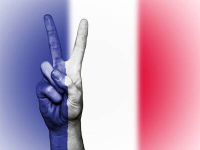 BFMTV: Кандидата в президенты Франции помял неизвестный
