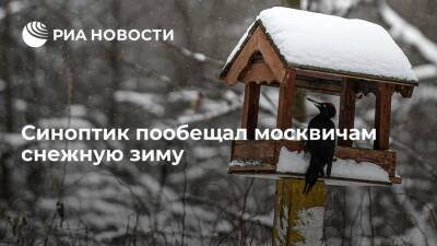 Синоптик Тишковец: в декабре норма по снегу в Москве будет перевыполнена на 20-30 процентов