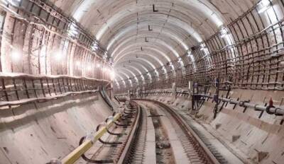 По туннелю московского метро бегал голый пассажир