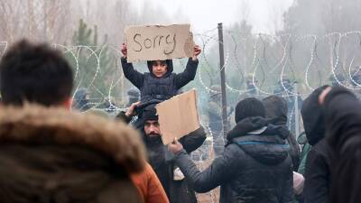 Пушков прокомментировал заявление Резникова о «миллионах» беженцев в Европе