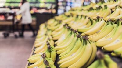 Диетолог Разумовская посоветовала пациентам с болезнями ЖКТ быть осторожнее с бананами