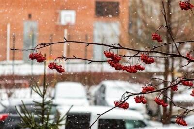 Дождь со снегом и до +3 градусов тепла ожидают синоптики в Красноярске 6 декабря