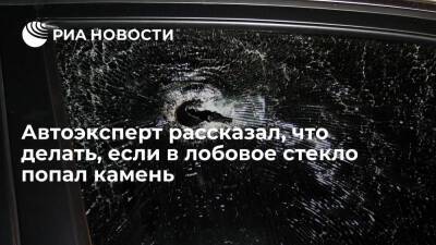Автоэксперт Горбачев объяснил, что попадание в лобовое стекло камня является ДТП