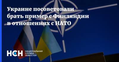 Украине посоветовали брать пример с Финляндии в отношениях с НАТО