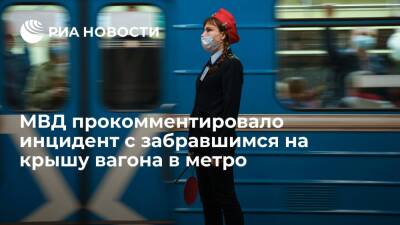 МВД заявило, что забравшийся на крышу вагона в метро в Москве был в неадекватном состоянии