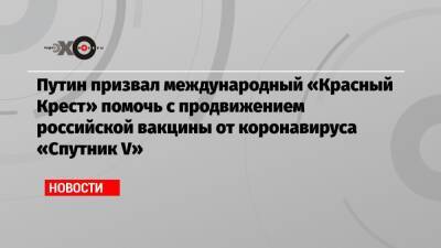 Путин призвал международный «Красный Крест» помочь с продвижением российской вакцины от коронавируса «Спутник V»