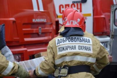 В Хабаровском крае волонтеры помоги потушить 487 пожаров
