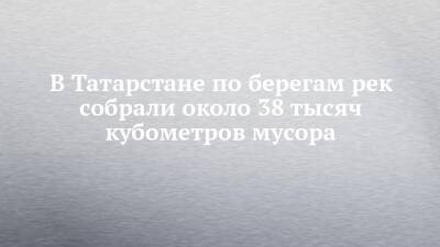 Александр Шадриков - В Татарстане по берегам рек собрали около 38 тысяч кубометров мусора - chelny-izvest.ru - Россия - респ. Татарстан - Экология