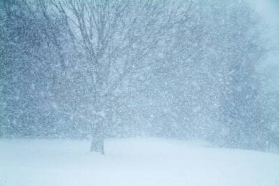 Синоптики предупредили ярославцев о снежной буре