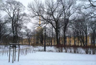 Снег и до 18 градусов мороза ожидаются в Петербурге 6 декабря