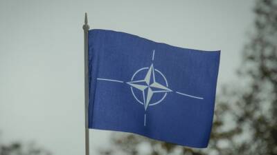 США заподозрили в «программировании» стран-участниц НАТО против РФ